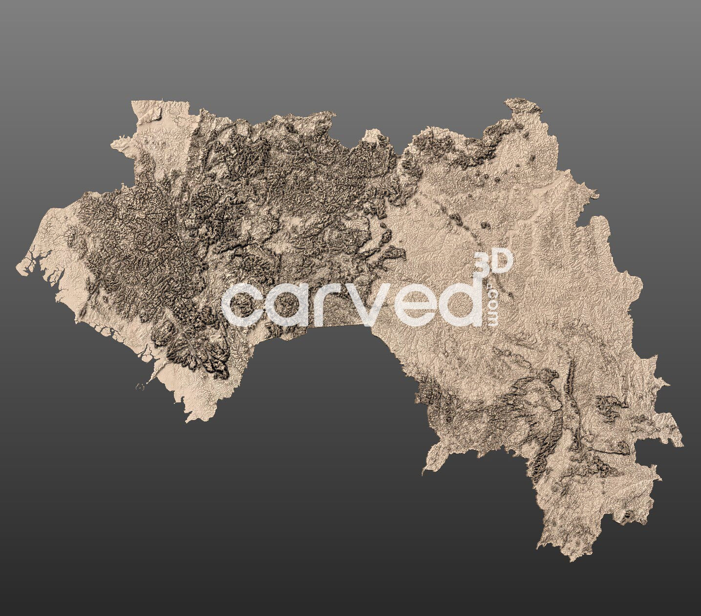 Guinea topographical 3D STL High Quality HD model