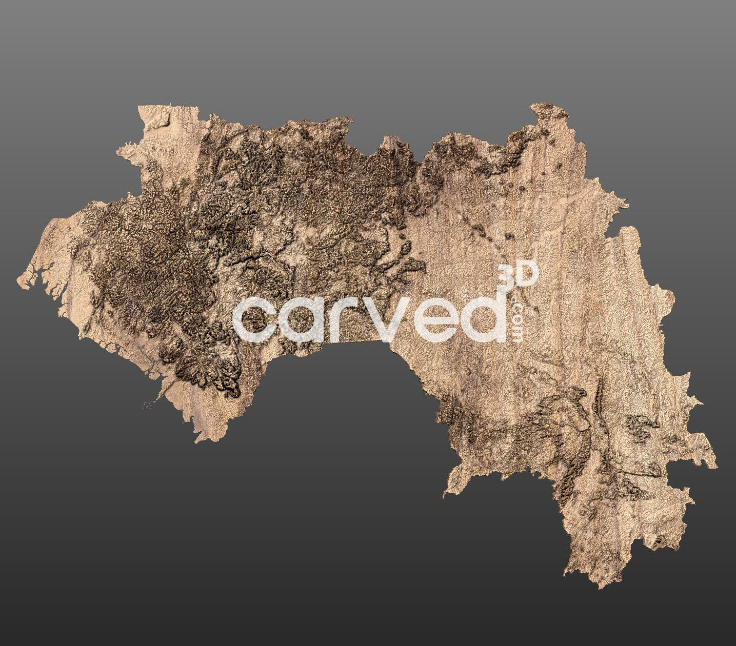 Guinea topographical 3D STL High Quality HD model