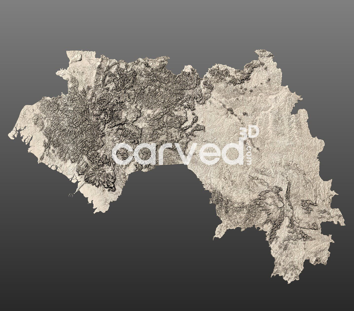 Guinea topographical 3D STL High Quality HD model