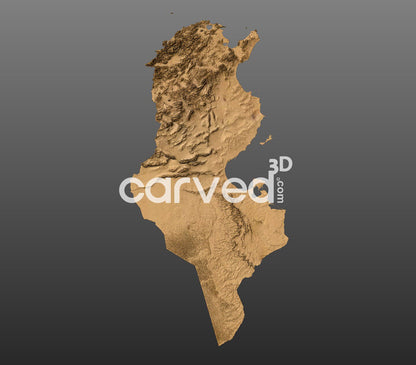 Tunisia | CNC 3D Map STL High Quality topographical HD model