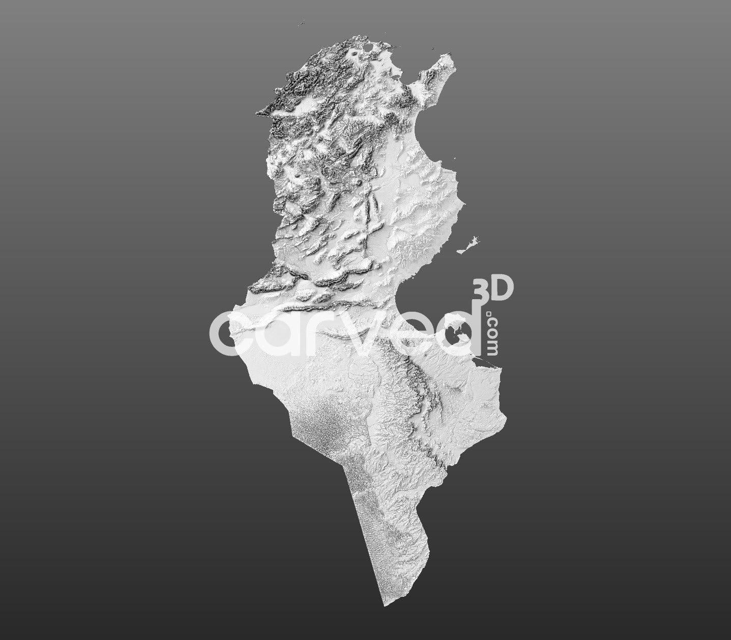 Tunisia | CNC 3D Map STL High Quality topographical HD model