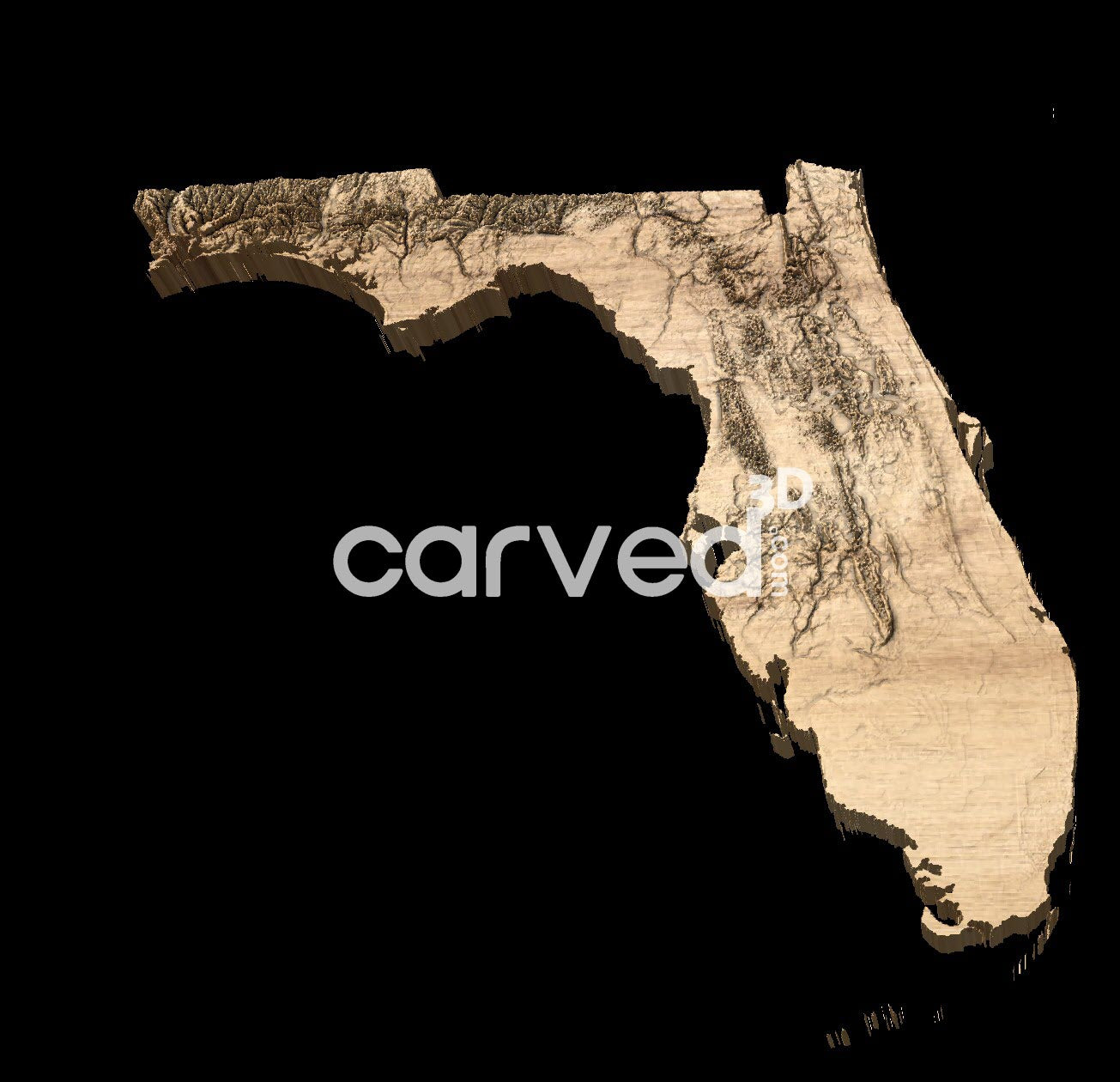 Florida USA topographical 3D STL High Quality HD model