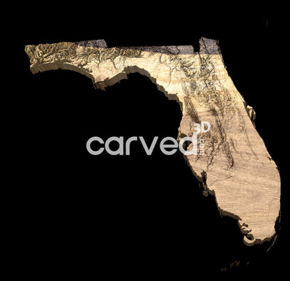 Florida USA topographical 3D STL High Quality HD model