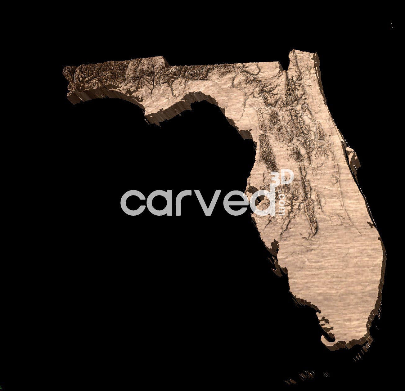 Florida USA topographical 3D STL High Quality HD model